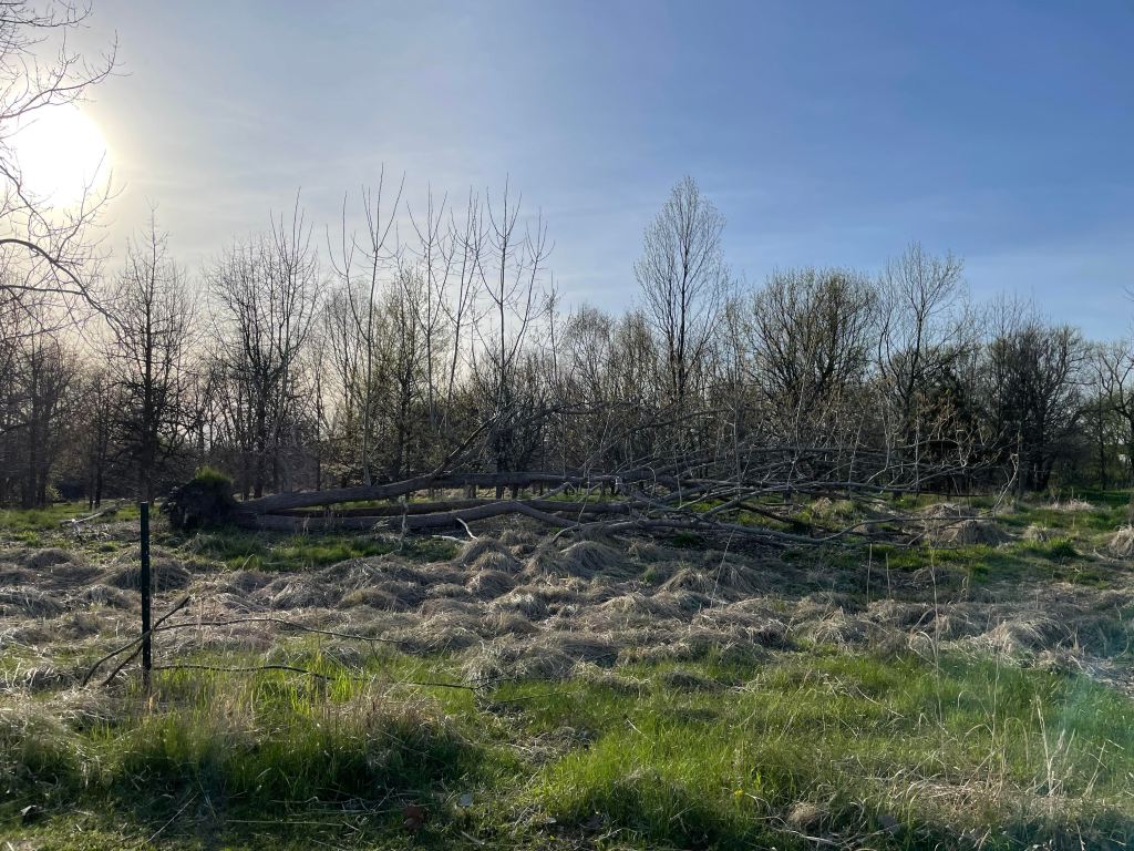 The Way Out is Through, And Through, And Through