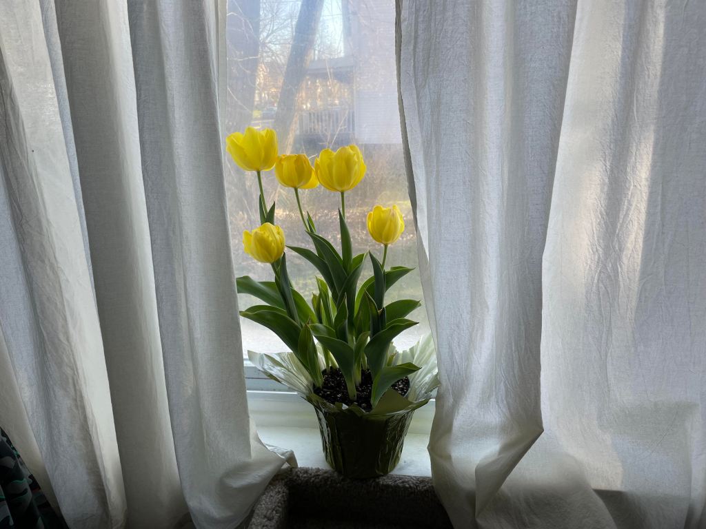 Heart-Shaped Living Room?