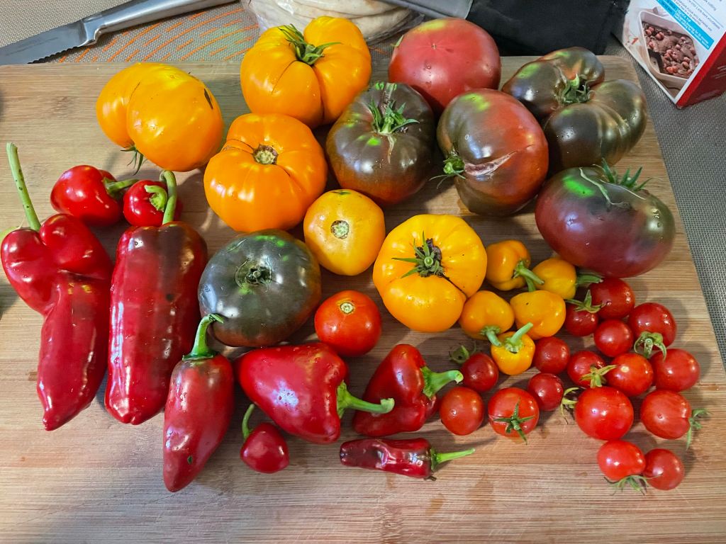 How Did that Garden Grow,&nbsp;anyway?